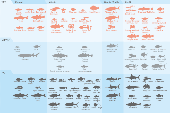 Which Fish?